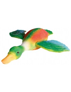 tx35492 dog gioco anatra...