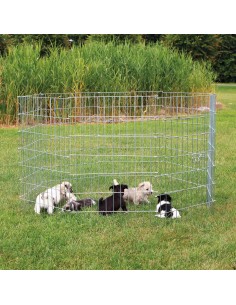 tx3954 dog recinto cuccioli...