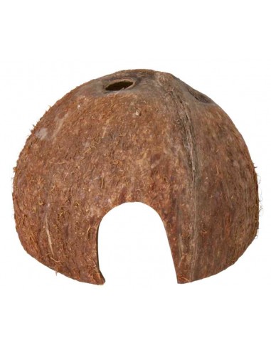 tx76160 acq guscio noce di cocco