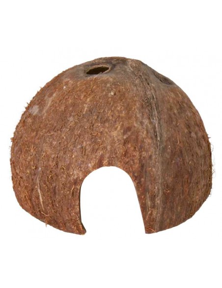 tx76160 acq guscio noce di cocco