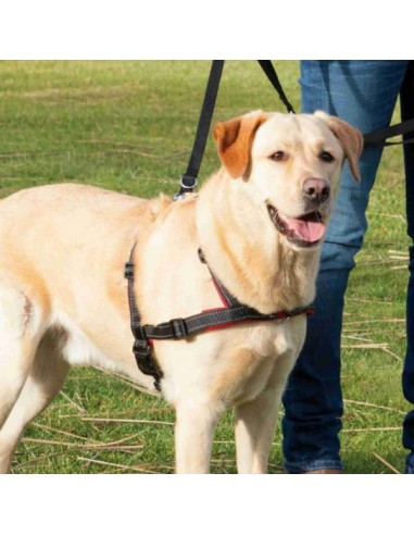 tx13055 dog pettorina lead'n'walk soft tg s-m