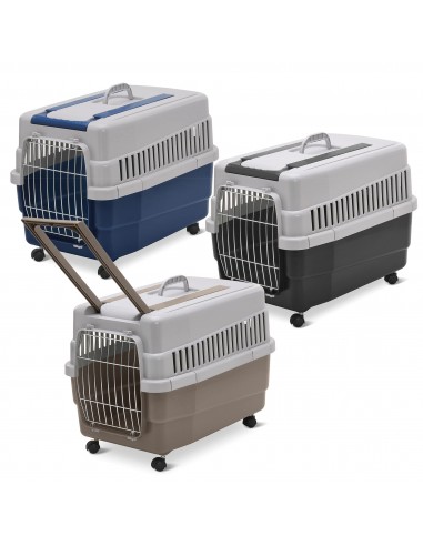 imac trasportino trolley kim 60