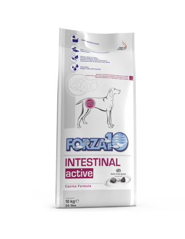 forza10 dog active intestinal 10kg