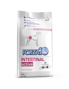 forza10 dog active intestinal 4kg