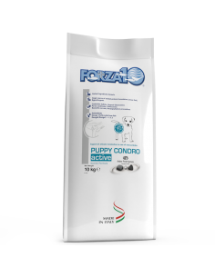 Forza 10 DOG ACTIVE 10KG...