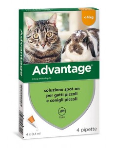 advantage 40 conigli gatti sotto i 4kg 4pz