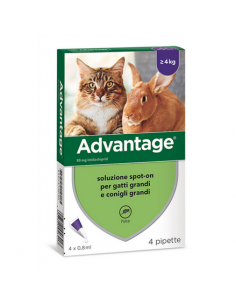 advantage 40 conigli gatti grandi 4pz