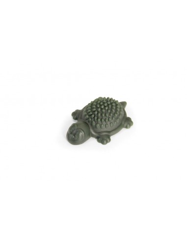 camon snack turtle 20g