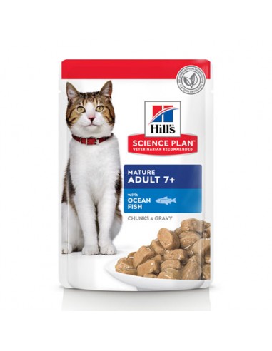 hills cat 85gr busta mature pesce...