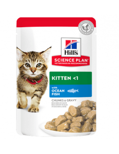 hills cat 85gr busta kitten...