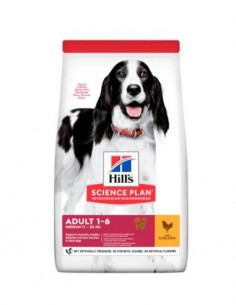 hills dog 12kg ad medium...