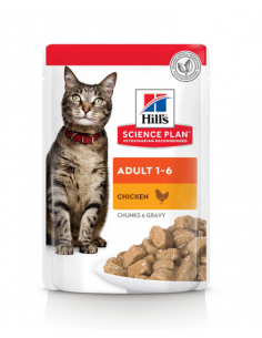 hill's cat diet c/d pollo busta 85g