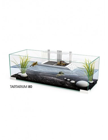 askoll 280415 tartarughiera tartarium 80 cool off zg
