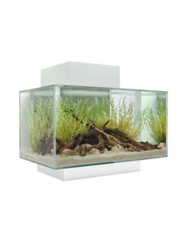askoll acquario fluval edge led white 23 l