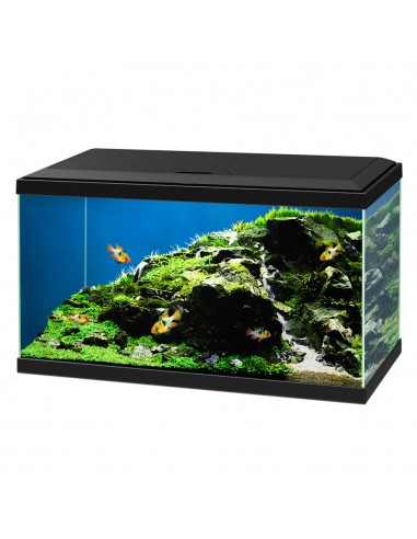 askoll 280652 acquario aqua 60 led bf nero off