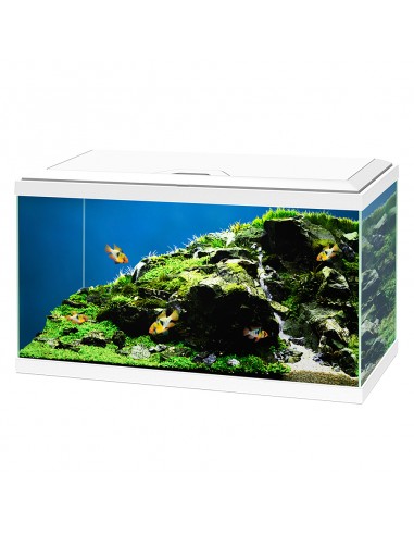 askoll 280653 acquario aqua 60 led bf bianco off