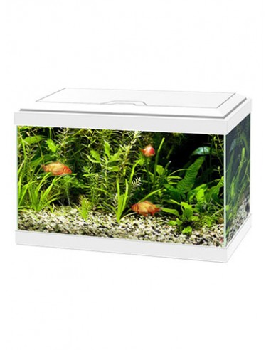 askoll 280664 acquario aqua 20 led light white off
