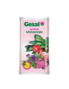 gesal terriccio piante grasse 10l