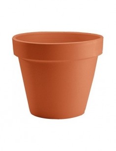 tarvisium vaso standard 5cm r.vs001001-05