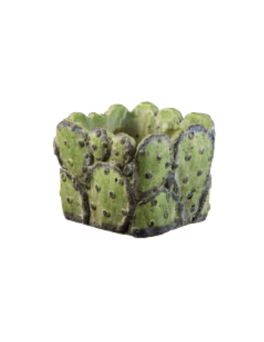 TARVISIUM VASO CUBO PRICKLY 13CM FJ132C