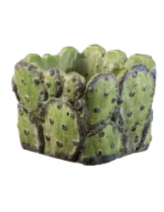 TARVISIUM VASO CUBO PRICKLY 17CM FJ132A