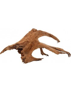 zolux legno racine mangrove...