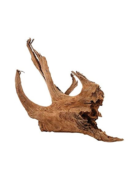 zolux legno racine mangrove medium 25-33cm 356030