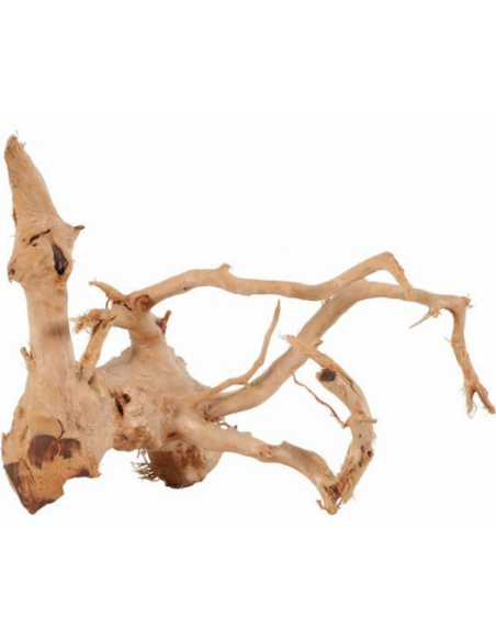 zolux legno racine araignee red wood 10-30cm 356050