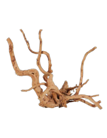 zolux legno racine araignee red wood 10-30cm 356050