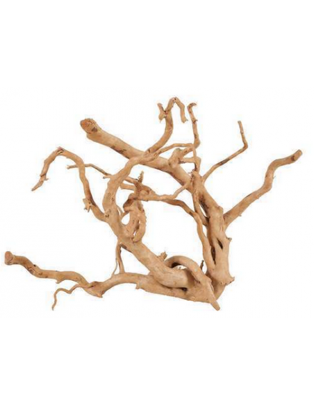 zolux legno racine araignee red wood 50-60cm 356053