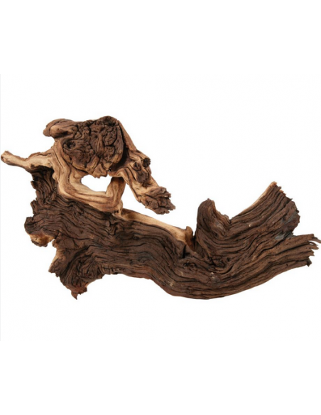 zolux legno mopani large r.356014