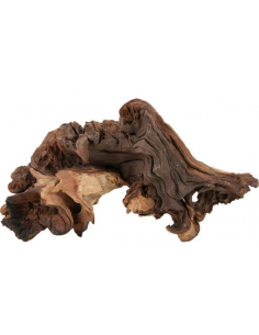 zolux legno mopani piccolo small r.356012