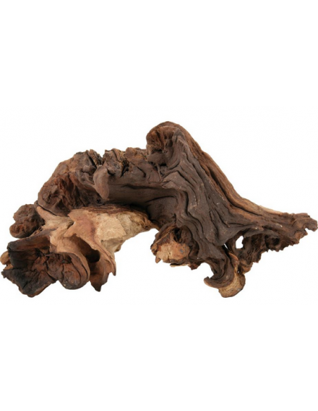 zolux legno mopani piccolo small r.356012