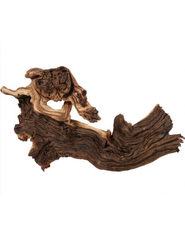 zolux legno mopani piccolo small...