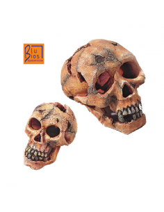 mant af201708 deco teschio...