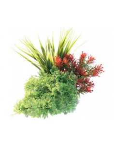 mant af226344 pianta sydeco tropical bouquet 20cm
