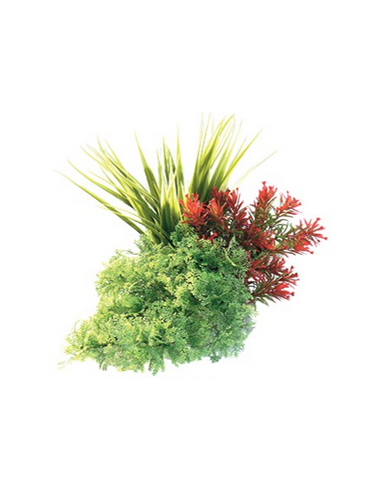 mant af226344 pianta sydeco tropical bouquet 20cm