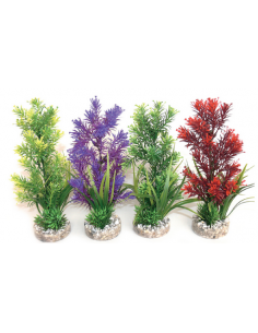 mant af226240 pianta sydeco...