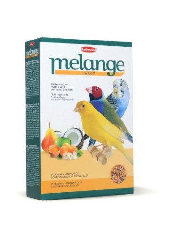 padovan melange fruit 300gr pp00393