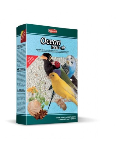 padovan sabbia ocean fresh air 1kg pp00076