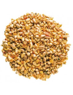 PETRINI SUPERBECCHIME 10KG