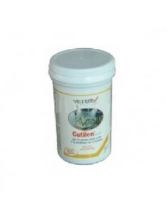 vetem integratore ga