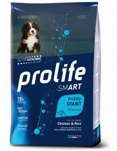 prolife dog smart puppy giant 10kg chicken&rice zpd.34600