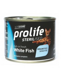 prolife cat adult...