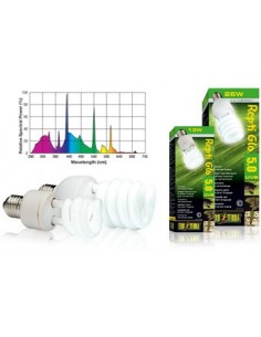 exo terra lampada re