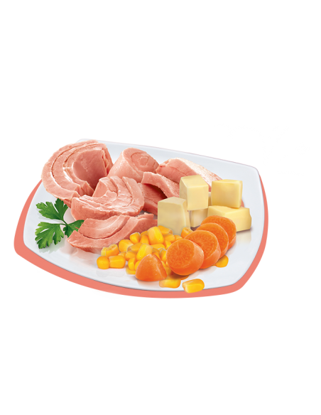 PETREET NAT 70GR TONNO DEL PACIFICO CON VERDURE A51 A53130