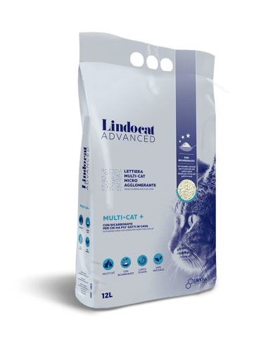 lindocat advanced multicat 12l agglomerante 3raclca.ts12lcamu off zg