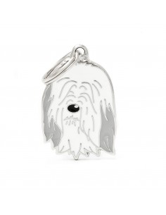 MY FAMILY MEDAGLIA BEARDED...