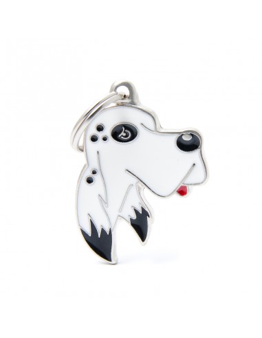 MY FAMILY MEDAGLIA SETTER INGLESE MF28ENGLISH