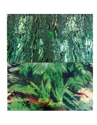 tx76321 parete per terrario...